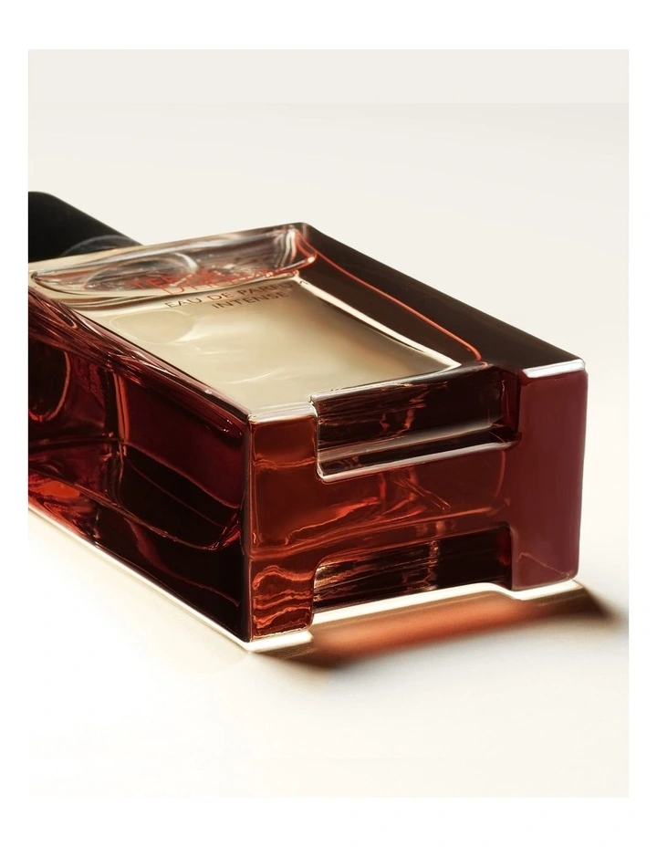 HERMES TERRE D'HERMES EAU DE TOILETTE 100ML