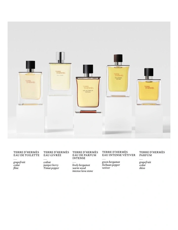 HERMES TERRE D'HERMES EAU DE TOILETTE 100ML